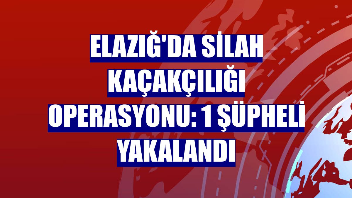 Elazığ'da silah kaçakçılığı operasyonu: 1 şüpheli yakalandı