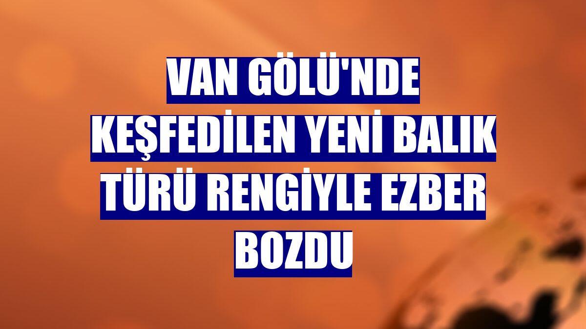Van Gölü'nde keşfedilen yeni balık türü rengiyle ezber bozdu