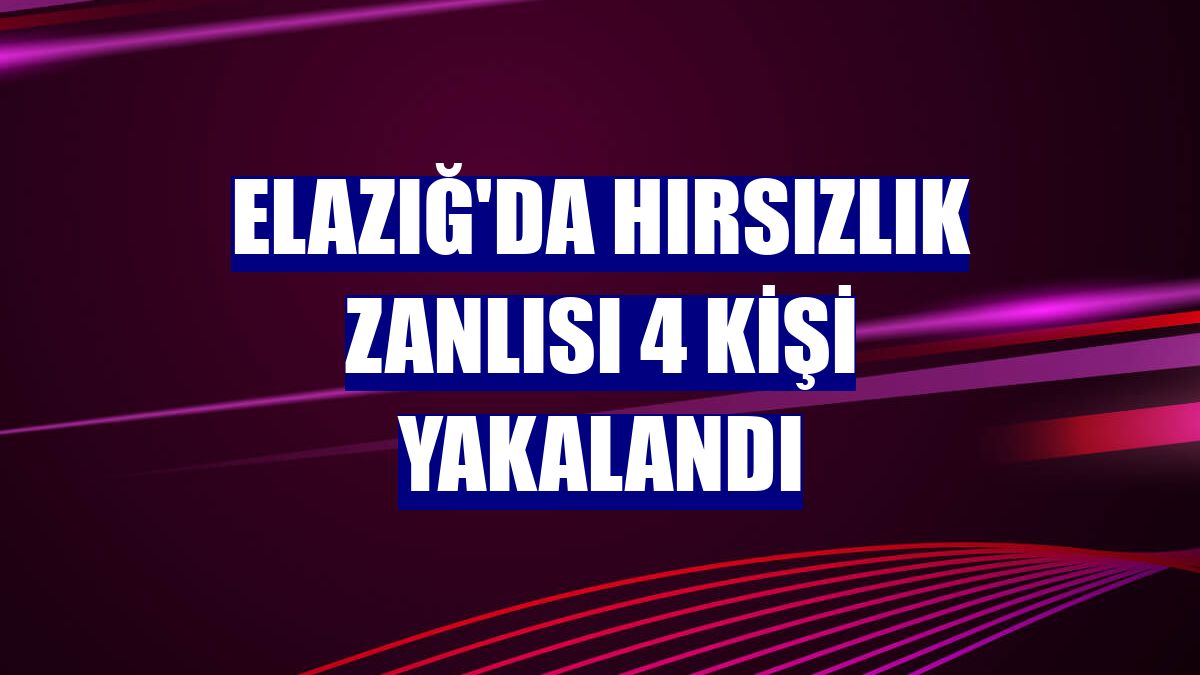 Elazığ'da hırsızlık zanlısı 4 kişi yakalandı