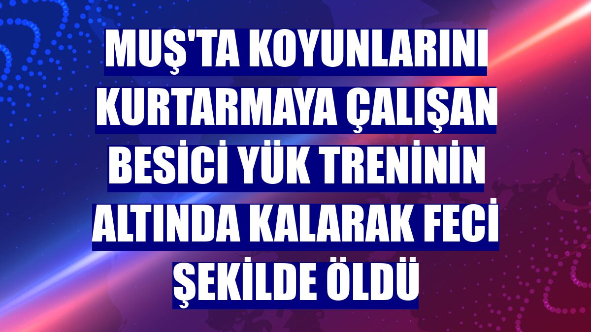 Muş'ta koyunlarını kurtarmaya çalışan besici yük treninin altında kalarak feci şekilde öldü