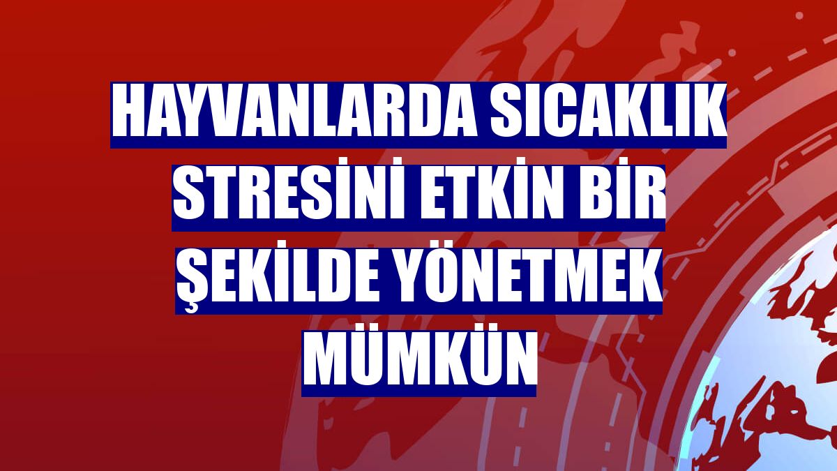 Hayvanlarda sıcaklık stresini etkin bir şekilde yönetmek mümkün