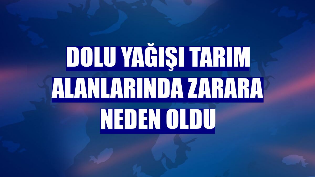 Dolu yağışı tarım alanlarında zarara neden oldu