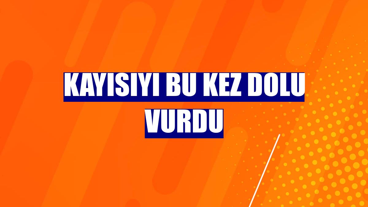 Kayısıyı bu kez dolu vurdu