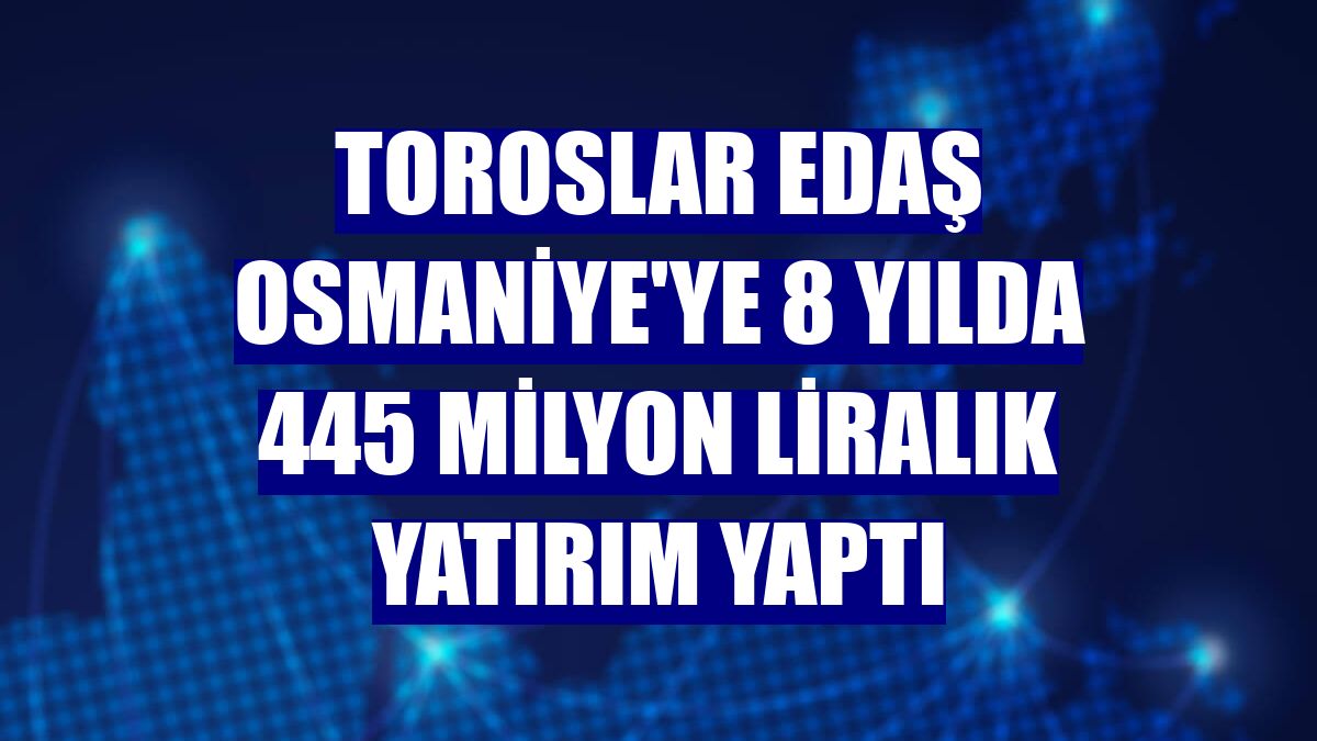 Toroslar EDAŞ Osmaniye'ye 8 yılda 445 milyon liralık yatırım yaptı