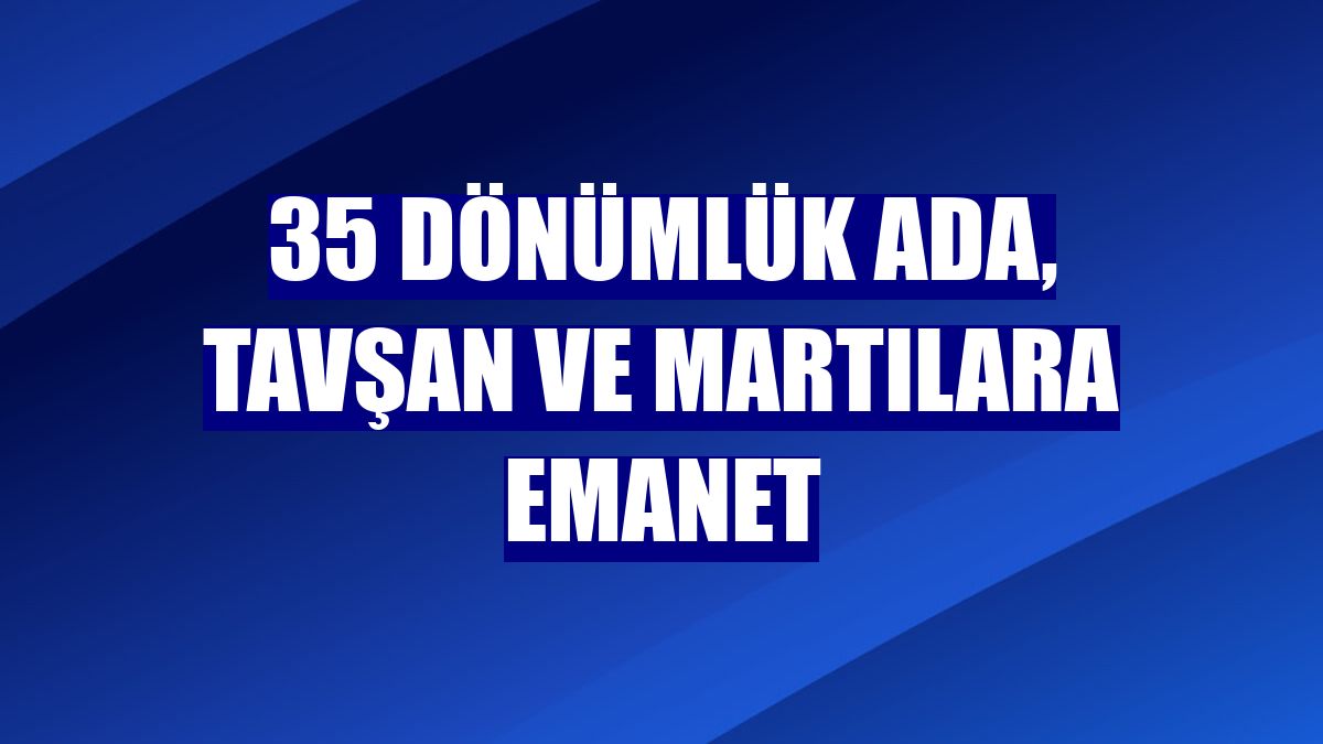 35 dönümlük ada, tavşan ve martılara emanet