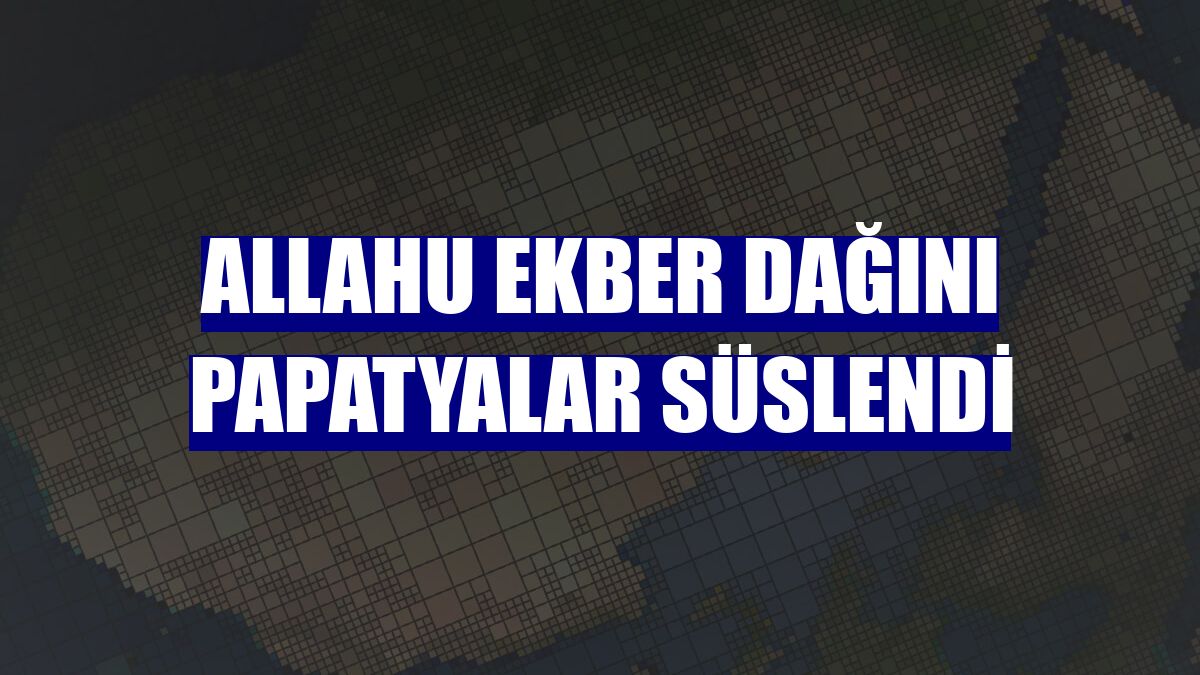 Allahu Ekber dağını papatyalar süslendi