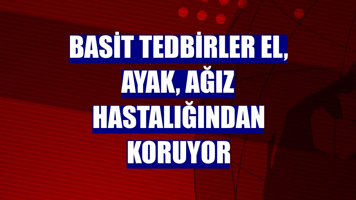Basit tedbirler el, ayak, ağız hastalığından koruyor