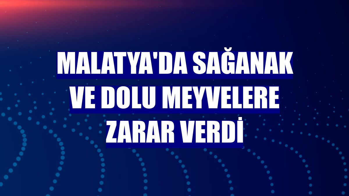 Malatya'da sağanak ve dolu meyvelere zarar verdi