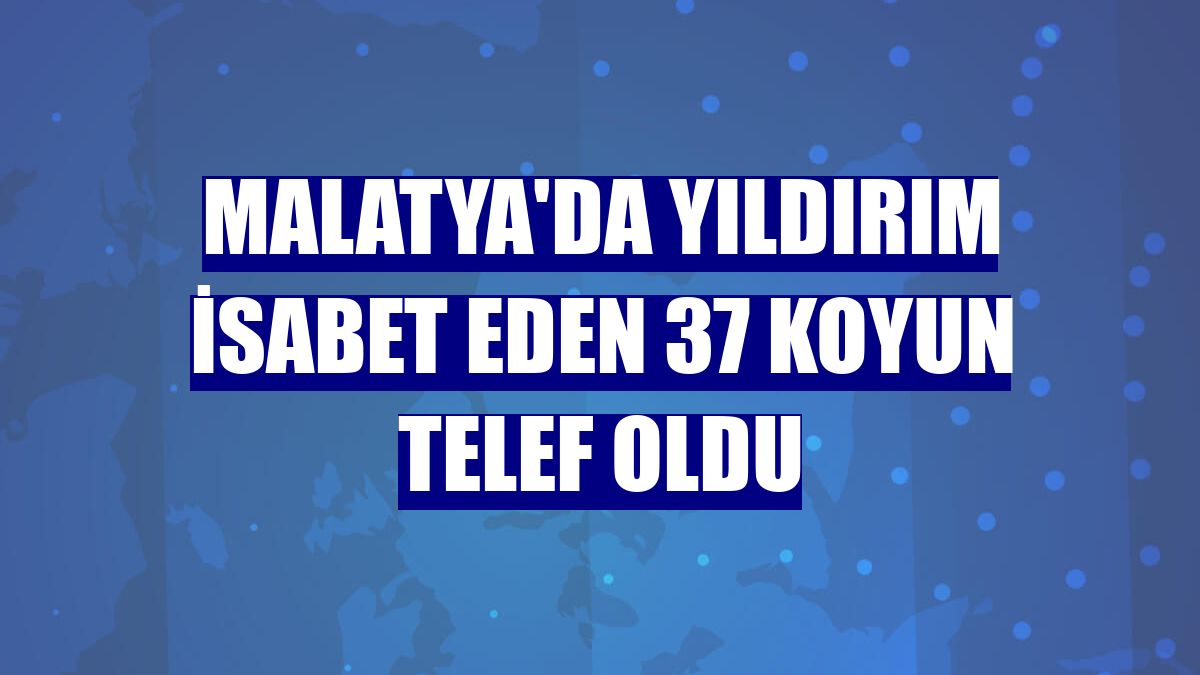 Malatya'da yıldırım isabet eden 37 koyun telef oldu