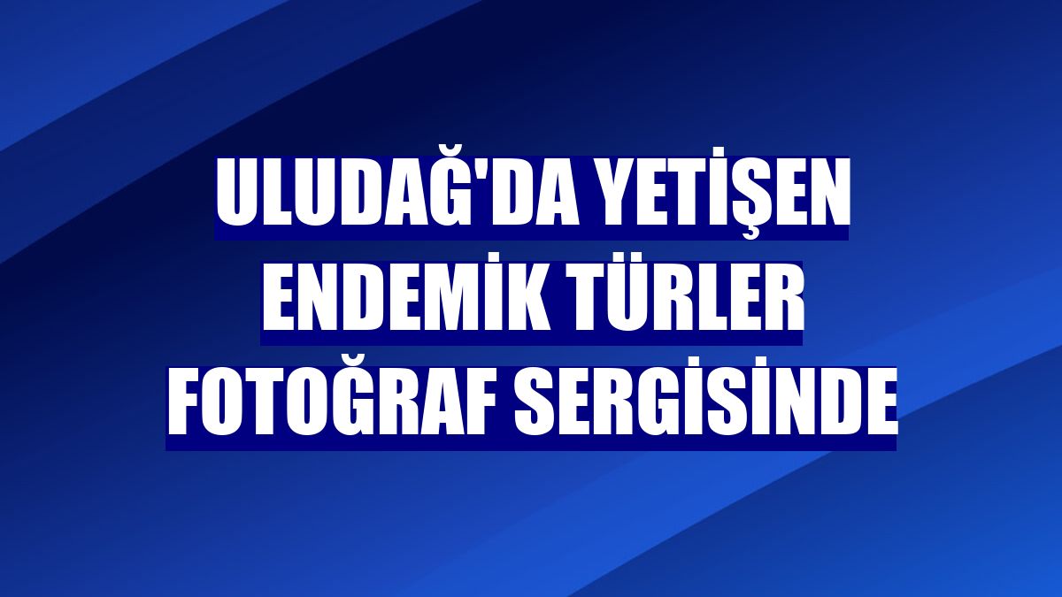 Uludağ'da yetişen endemik türler fotoğraf sergisinde