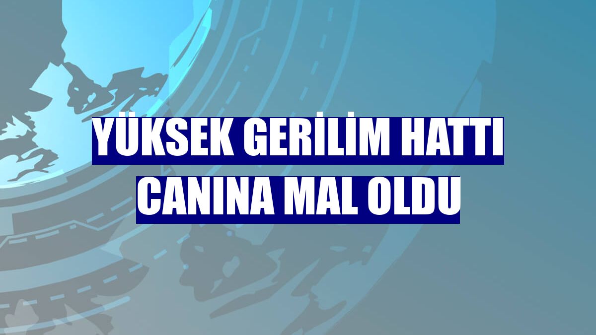 Yüksek gerilim hattı canına mal oldu