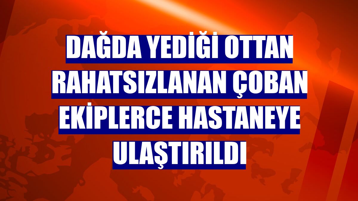Dağda yediği ottan rahatsızlanan çoban ekiplerce hastaneye ulaştırıldı