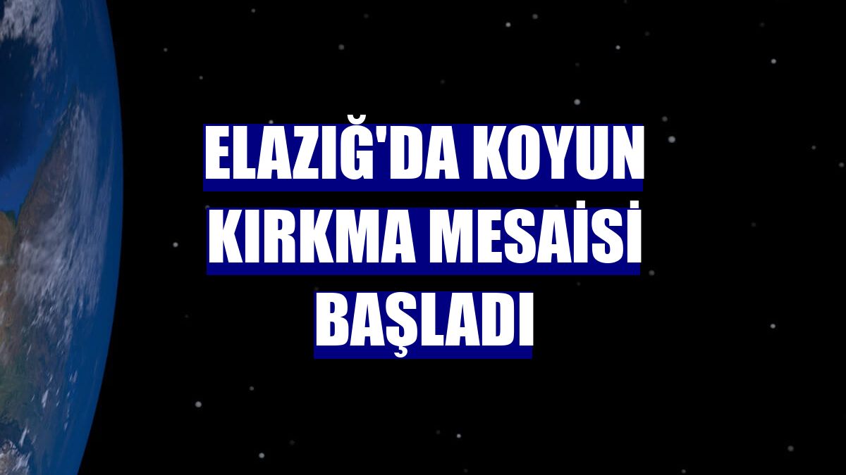 Elazığ'da koyun kırkma mesaisi başladı