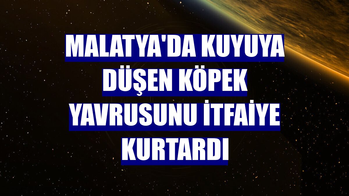 Malatya'da kuyuya düşen köpek yavrusunu itfaiye kurtardı