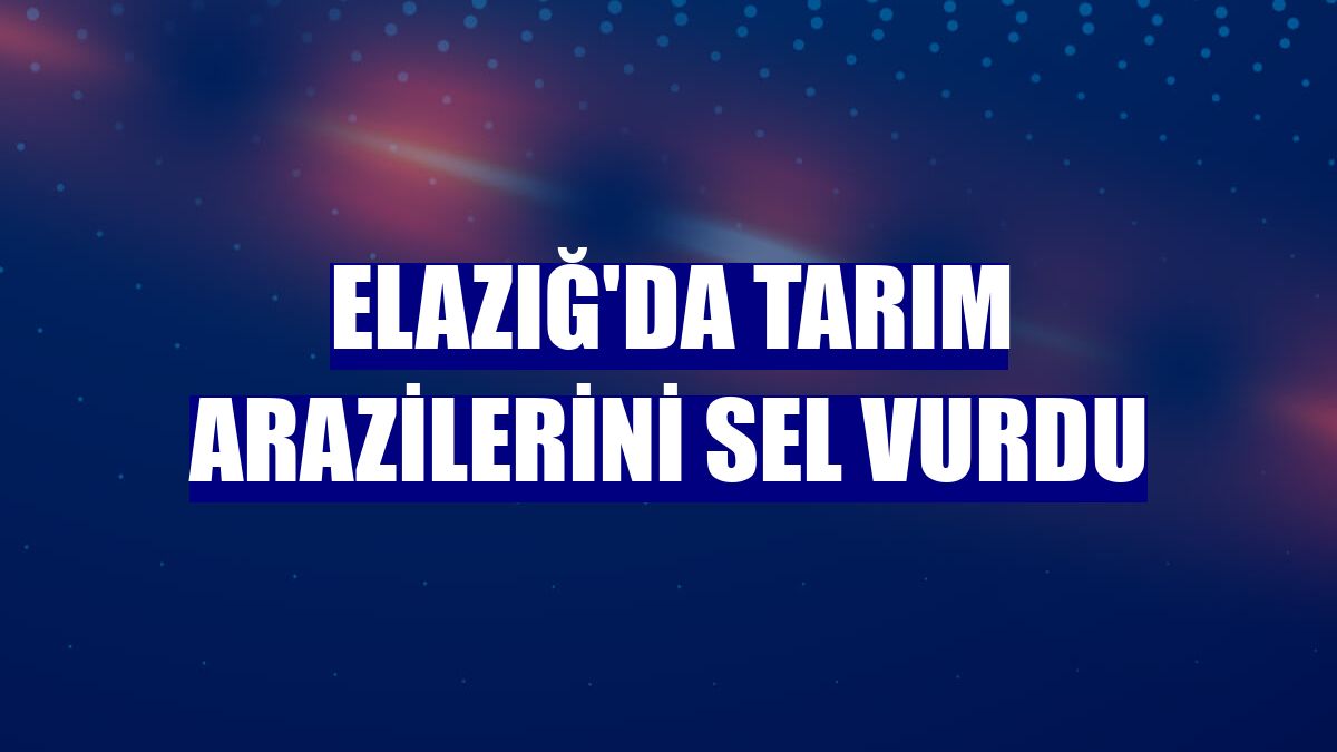 Elazığ'da tarım arazilerini sel vurdu