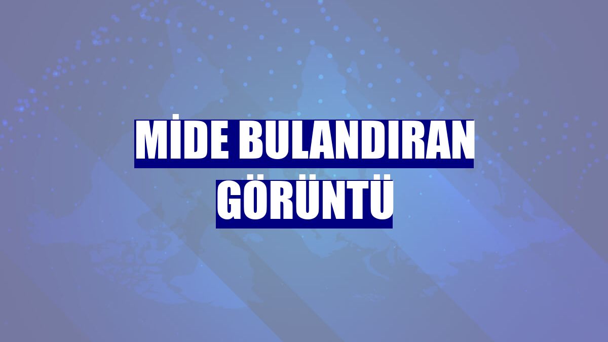 Mide bulandıran görüntü