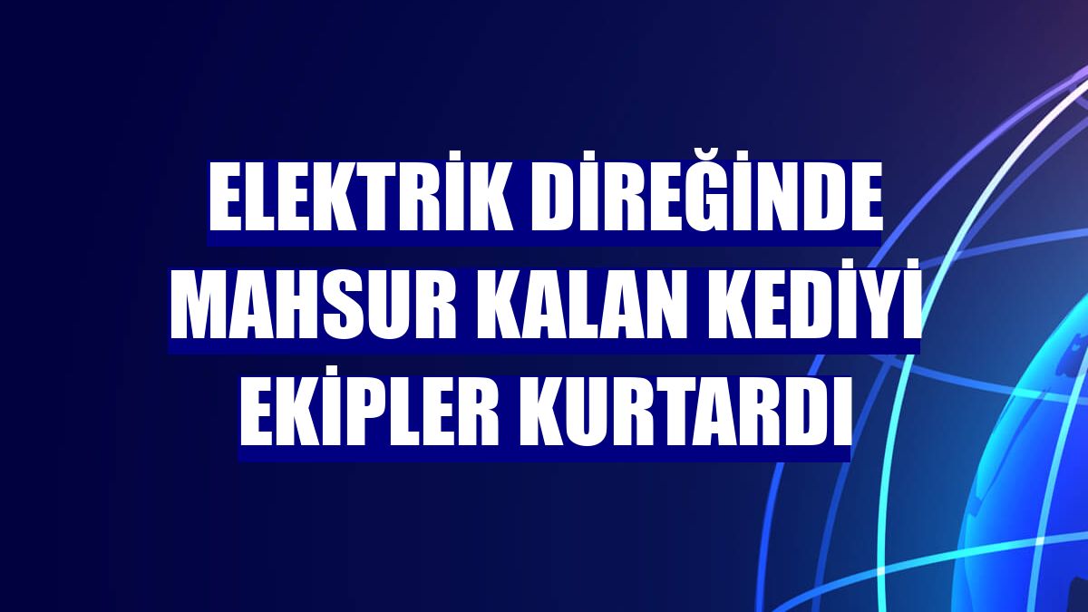 Elektrik direğinde mahsur kalan kediyi ekipler kurtardı