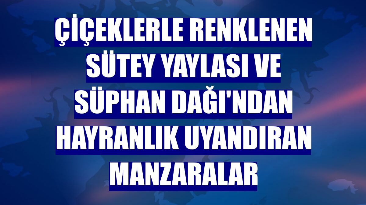 Çiçeklerle renklenen Sütey Yaylası ve Süphan Dağı'ndan hayranlık uyandıran manzaralar
