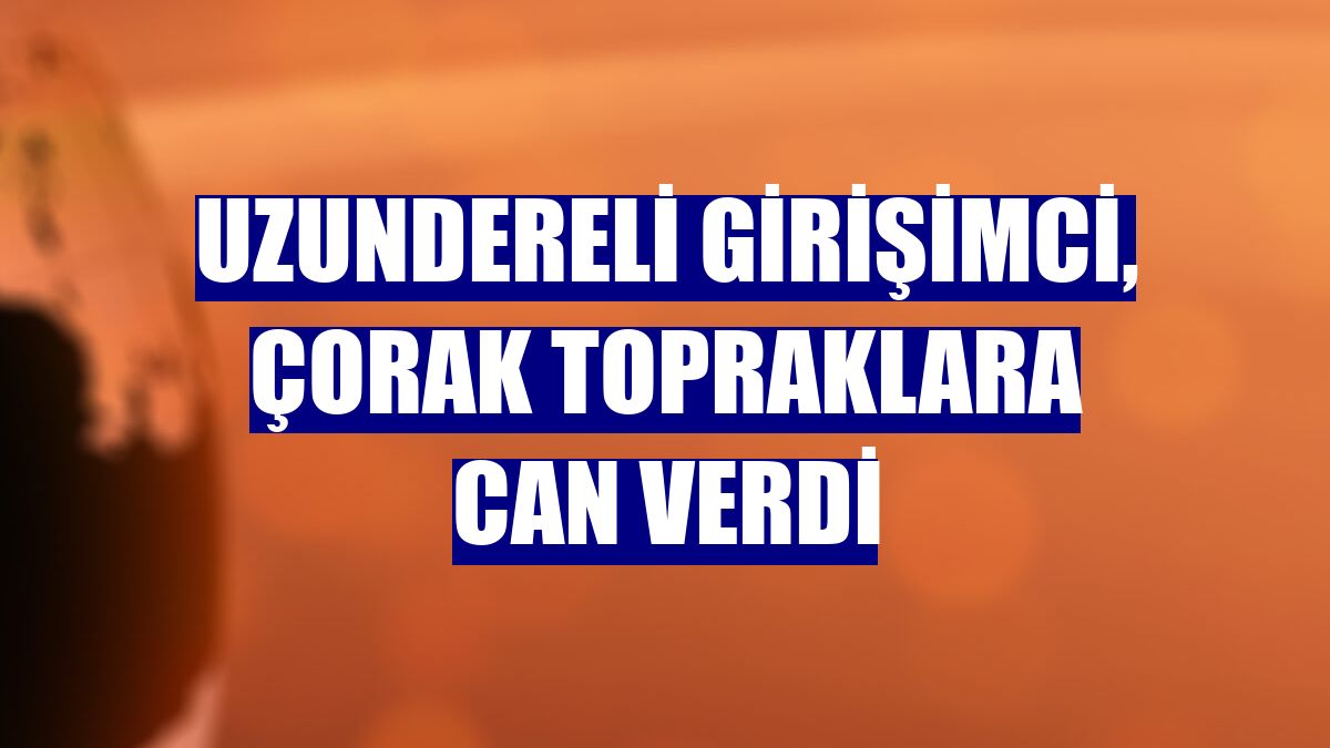 Uzundereli girişimci, çorak topraklara can verdi