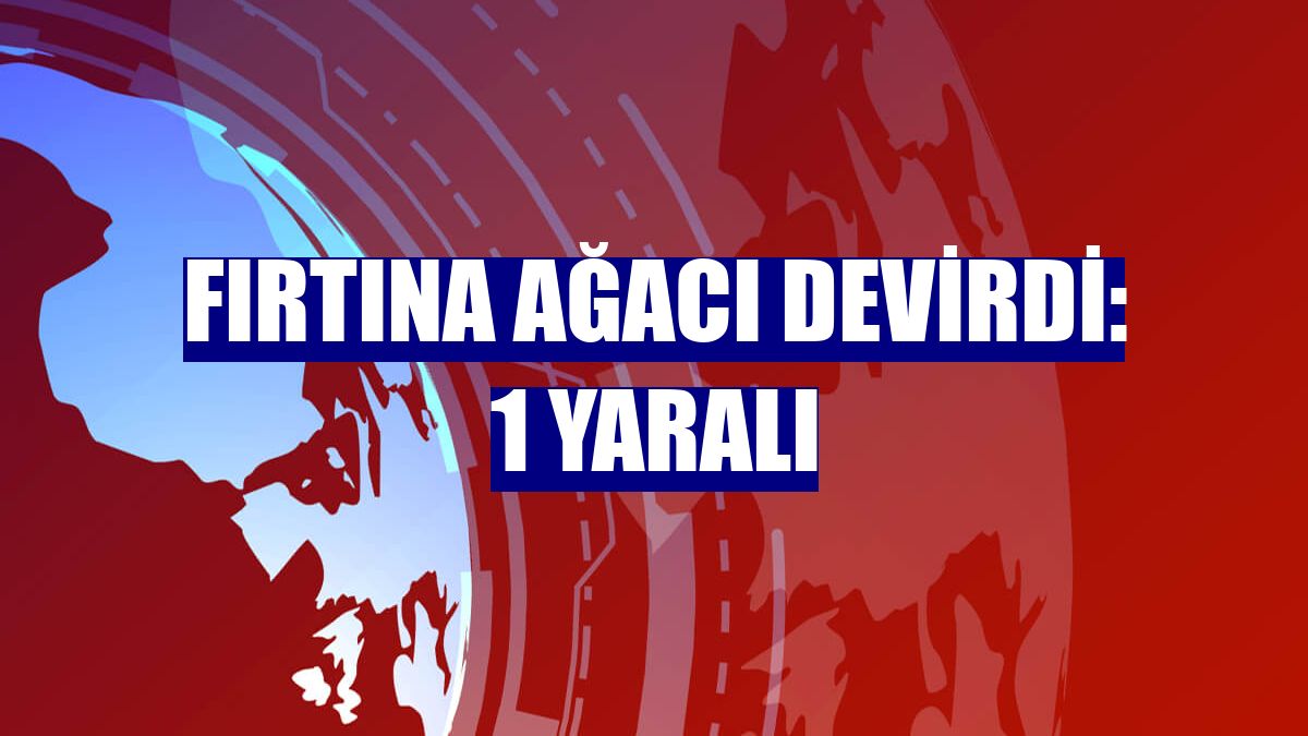 Fırtına ağacı devirdi: 1 yaralı