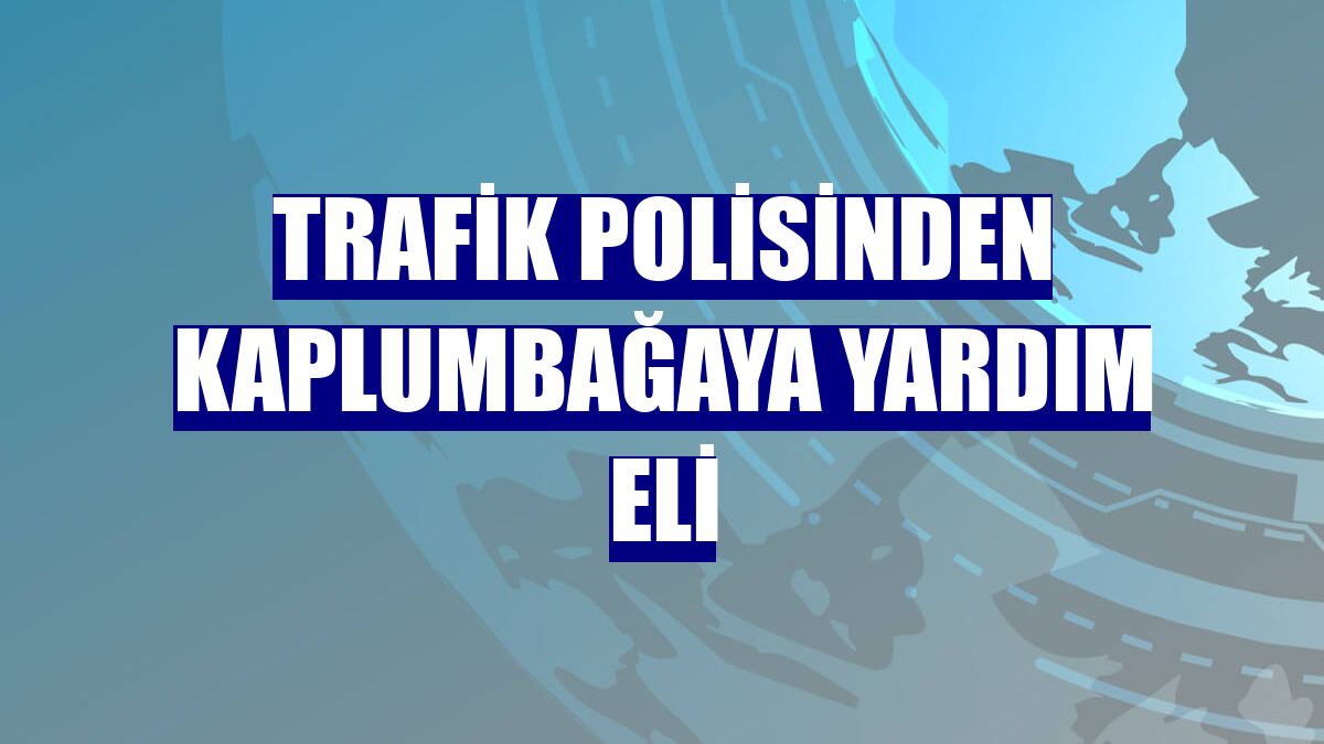 Trafik polisinden kaplumbağaya yardım eli