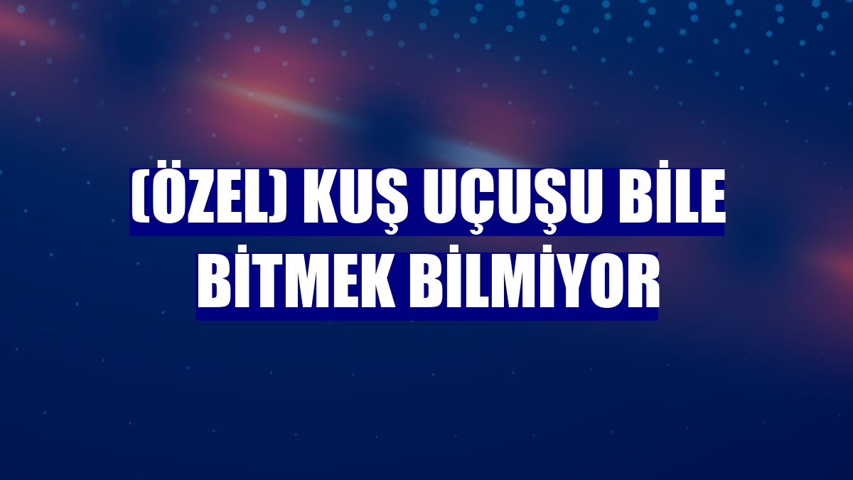(ÖZEL) Kuş uçuşu bile bitmek bilmiyor