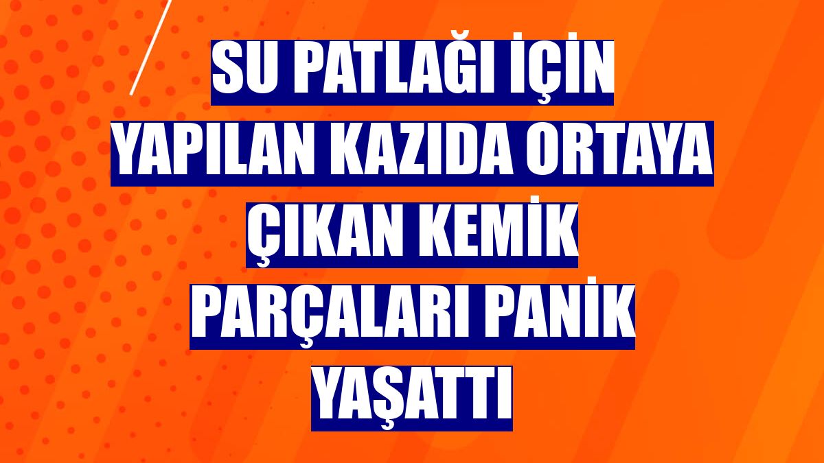 Su patlağı için yapılan kazıda ortaya çıkan kemik parçaları panik yaşattı