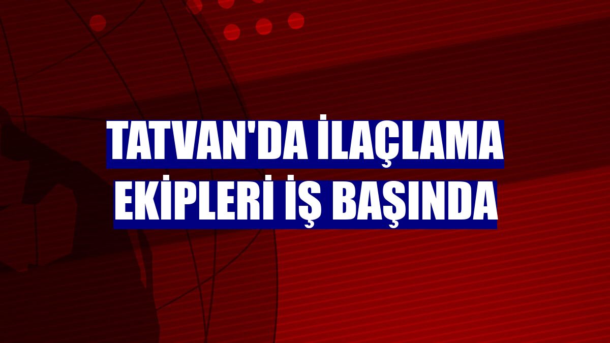 Tatvan'da ilaçlama ekipleri iş başında