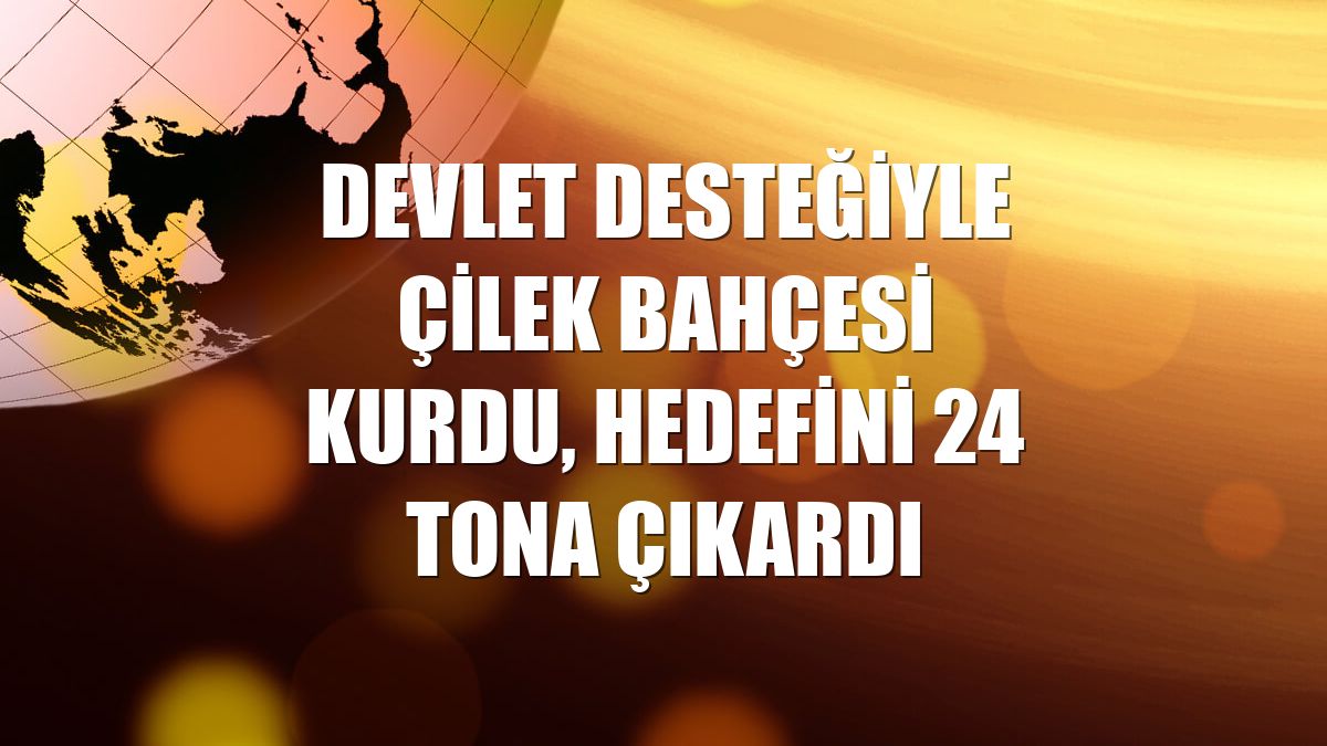Devlet desteğiyle çilek bahçesi kurdu, hedefini 24 tona çıkardı