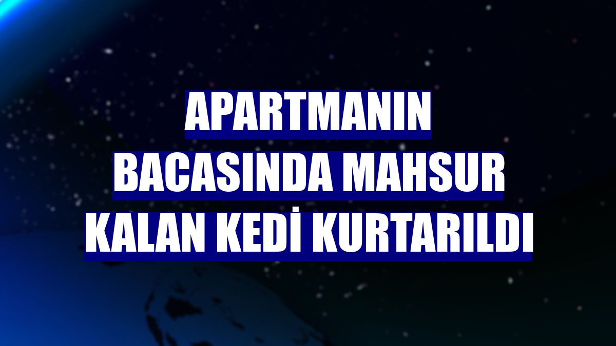Apartmanın bacasında mahsur kalan kedi kurtarıldı