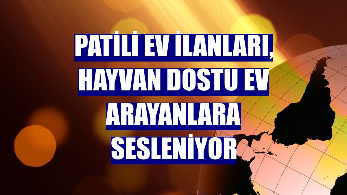 Patili ev ilanları, hayvan dostu ev arayanlara sesleniyor