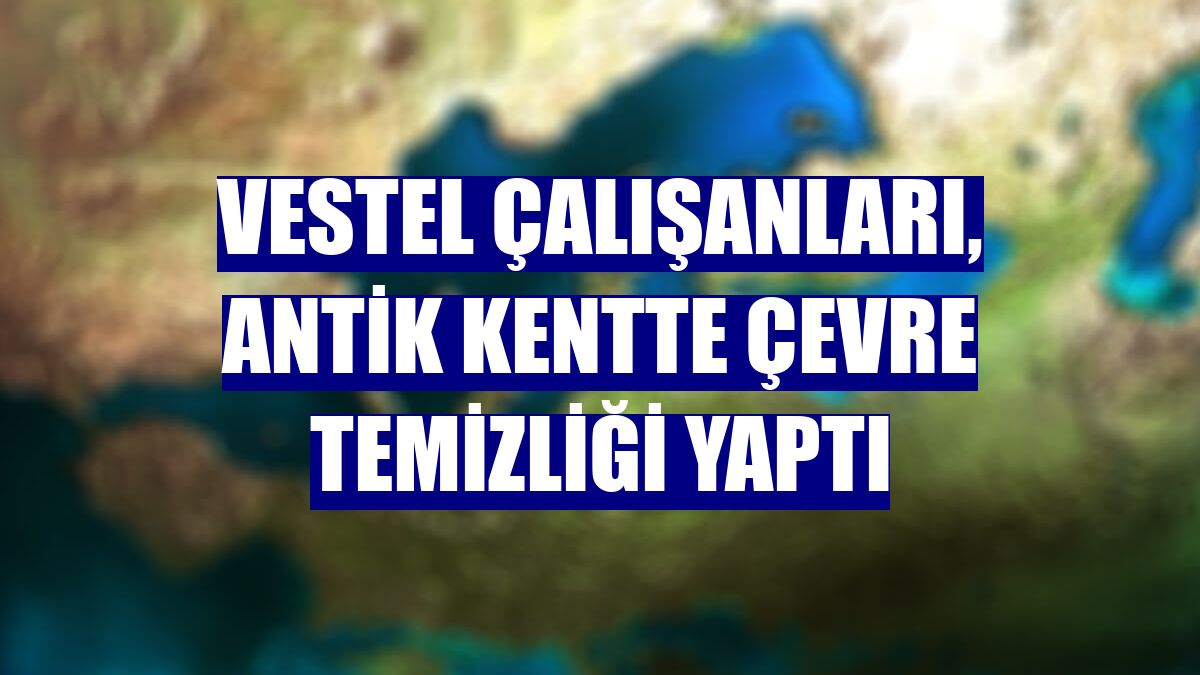 Vestel çalışanları, antik kentte çevre temizliği yaptı