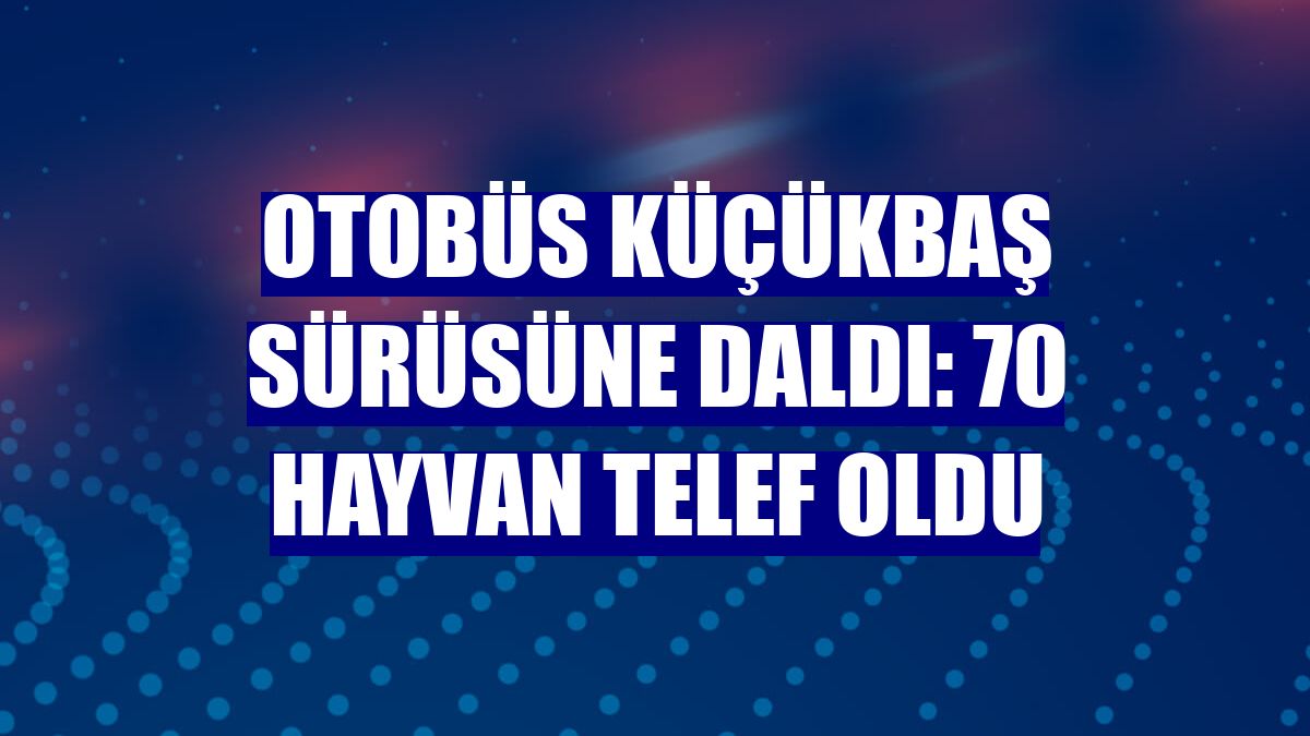 Otobüs küçükbaş sürüsüne daldı: 70 hayvan telef oldu