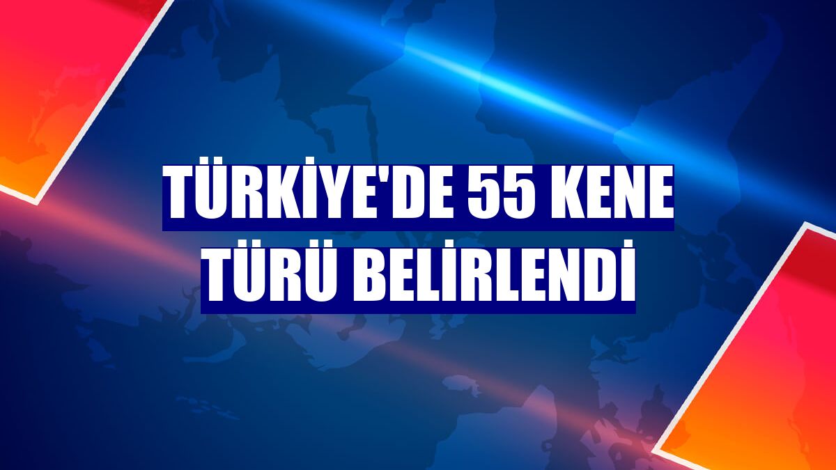 Türkiye'de 55 kene türü belirlendi