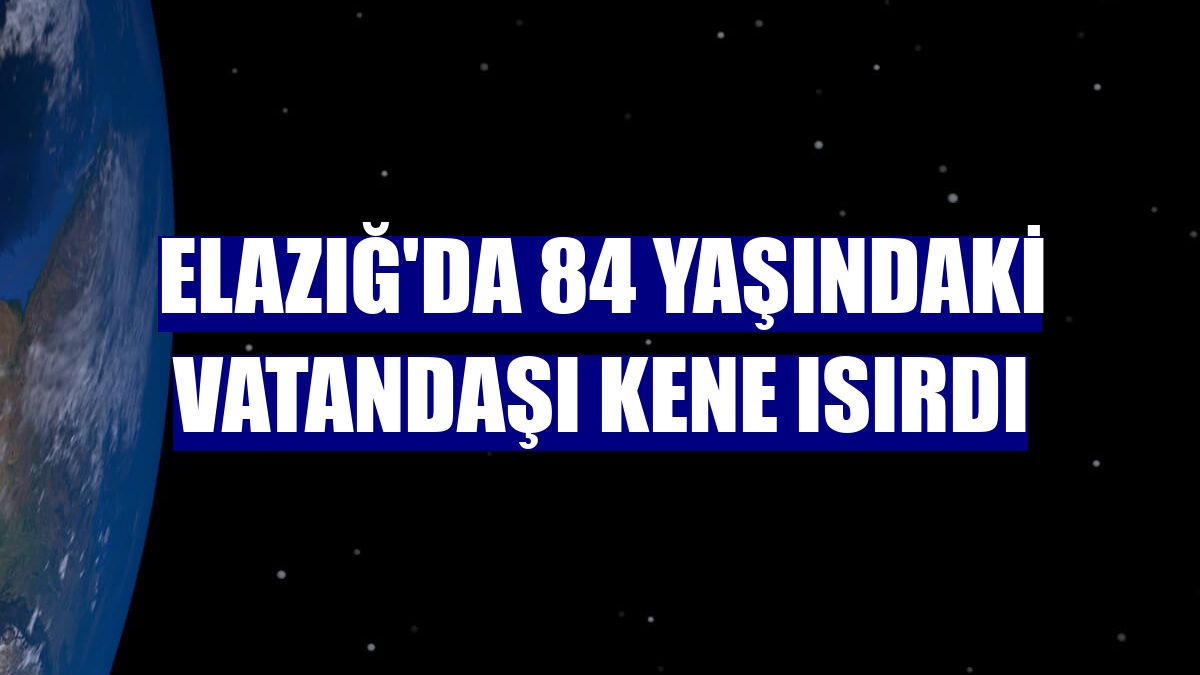Elazığ'da 84 yaşındaki vatandaşı kene ısırdı