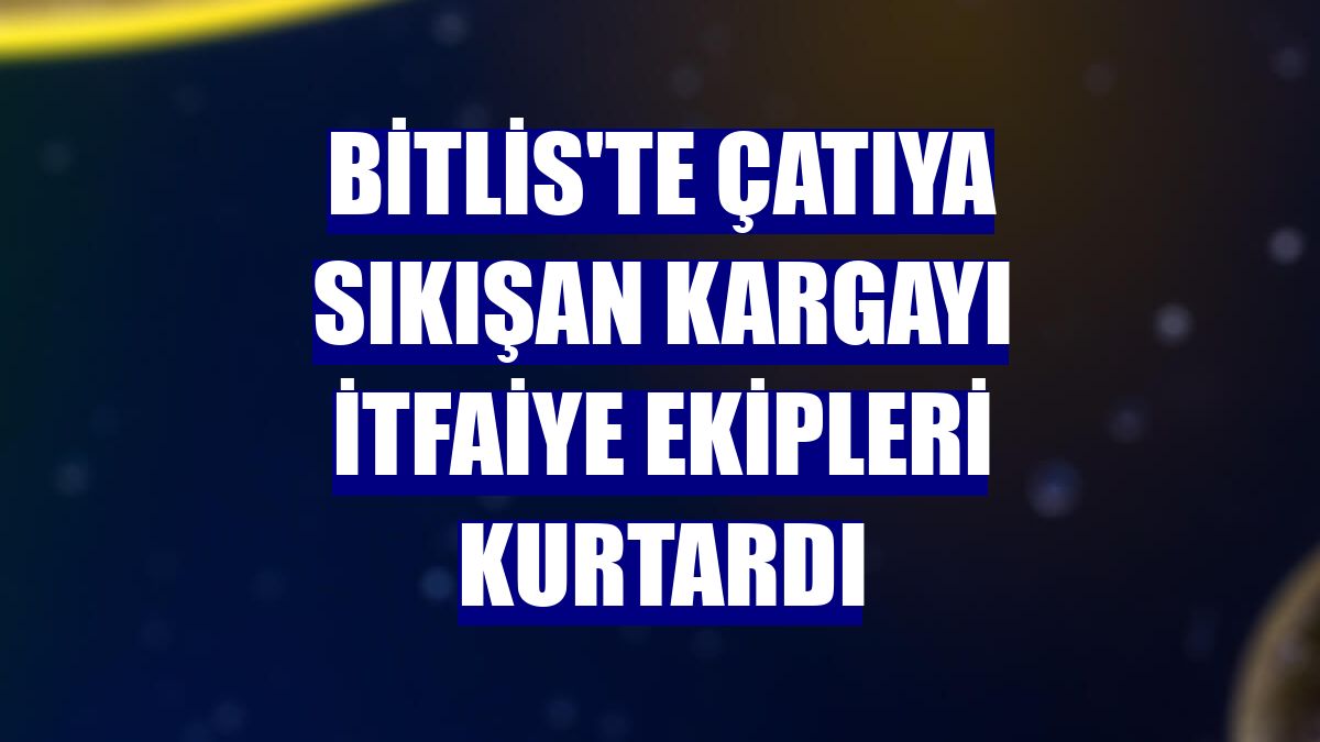 Bitlis'te çatıya sıkışan kargayı itfaiye ekipleri kurtardı