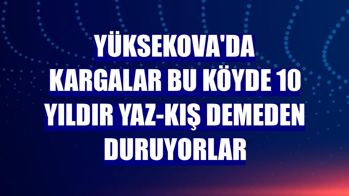 Yüksekova'da kargalar bu köyde 10 yıldır yaz-kış demeden duruyorlar