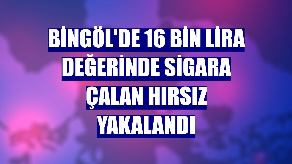 Bingöl'de 16 bin lira değerinde sigara çalan hırsız yakalandı