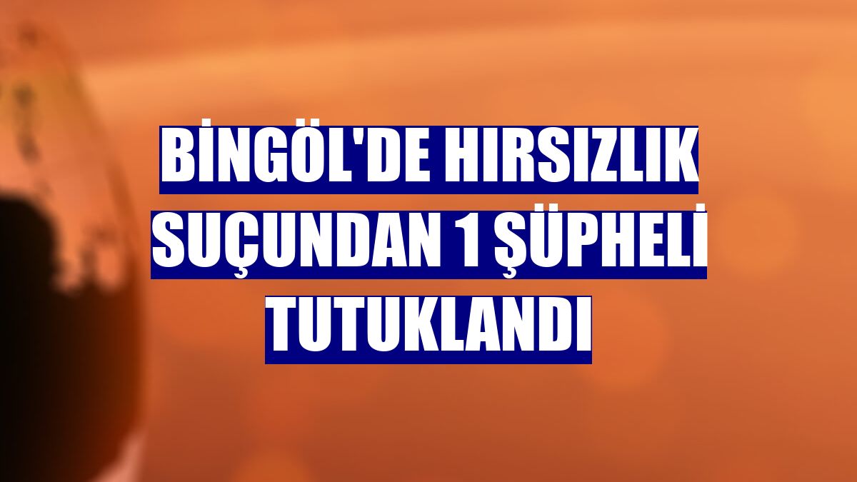 Bingöl'de hırsızlık suçundan 1 şüpheli tutuklandı