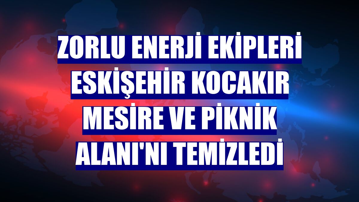 Zorlu Enerji ekipleri Eskişehir Kocakır Mesire ve Piknik Alanı'nı temizledi