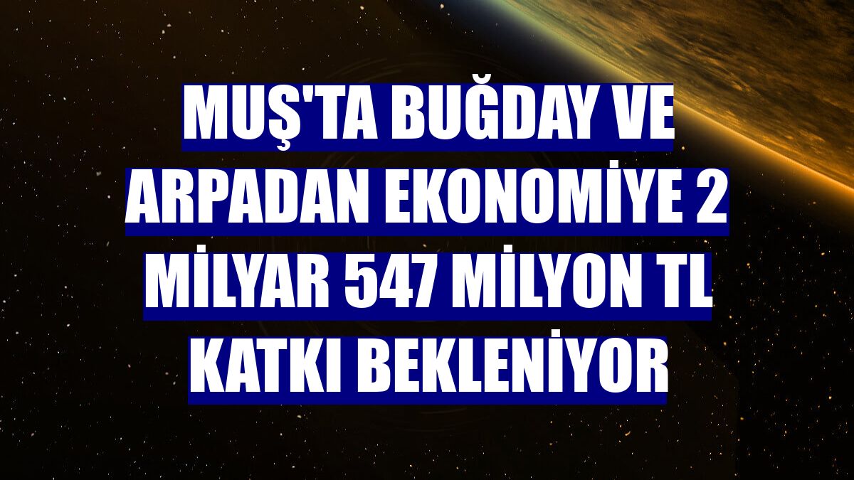 Muş'ta buğday ve arpadan ekonomiye 2 milyar 547 milyon TL katkı bekleniyor