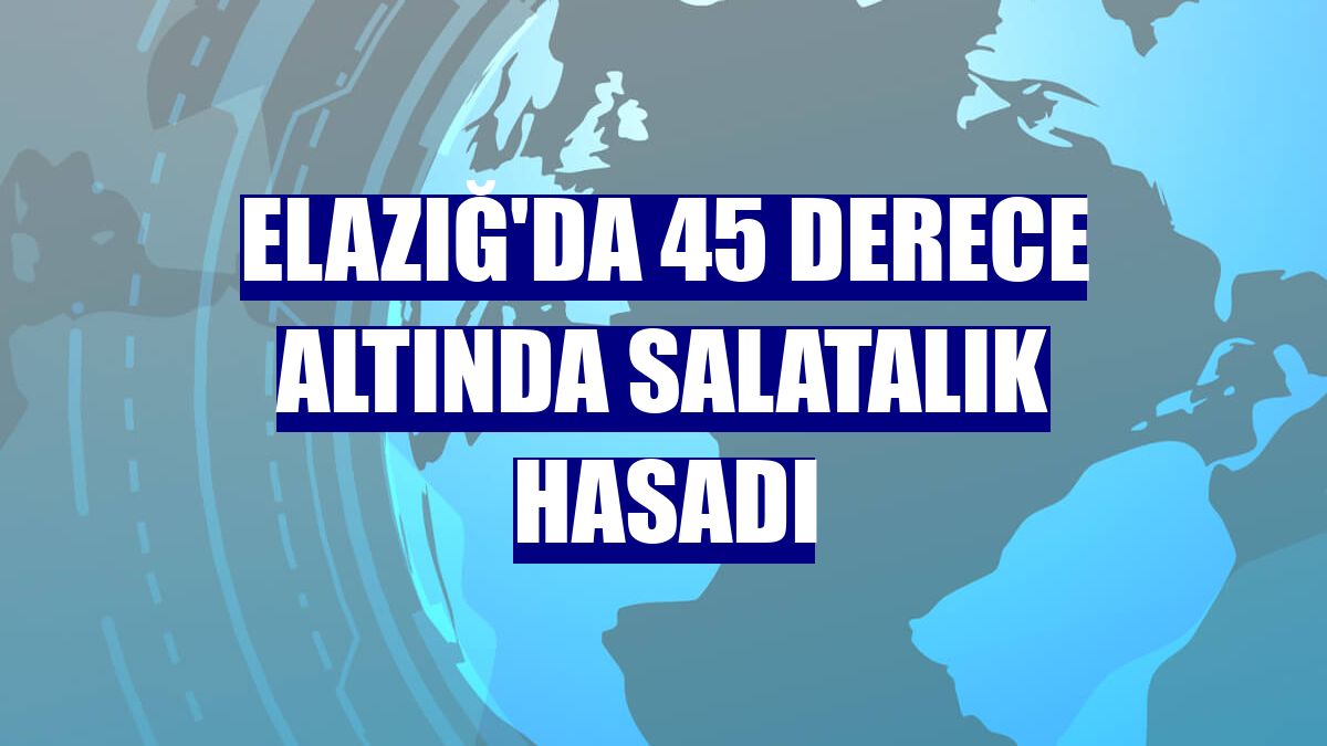 Elazığ'da 45 derece altında salatalık hasadı