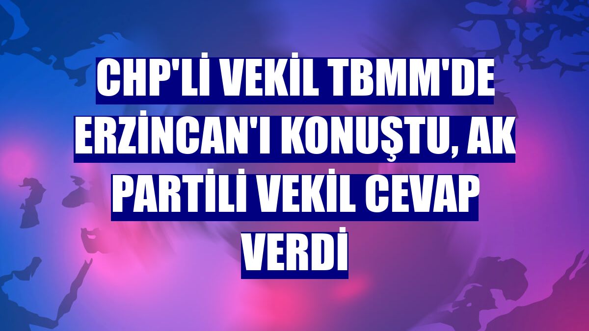 CHP'li vekil TBMM'de Erzincan'ı konuştu, AK Partili vekil cevap verdi