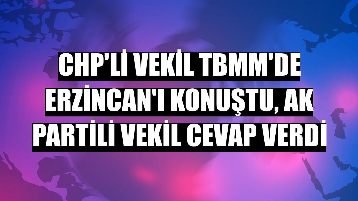 CHP'li vekil TBMM'de Erzincan'ı konuştu, AK Partili vekil cevap verdi