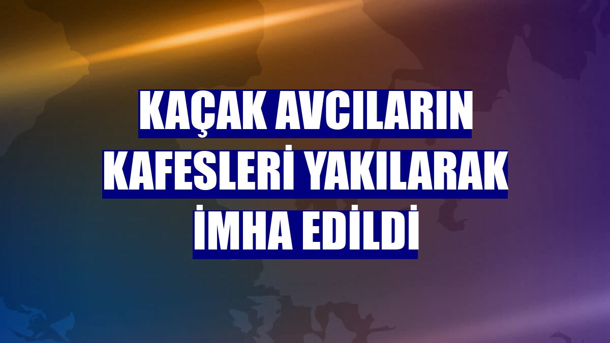 Kaçak avcıların kafesleri yakılarak imha edildi
