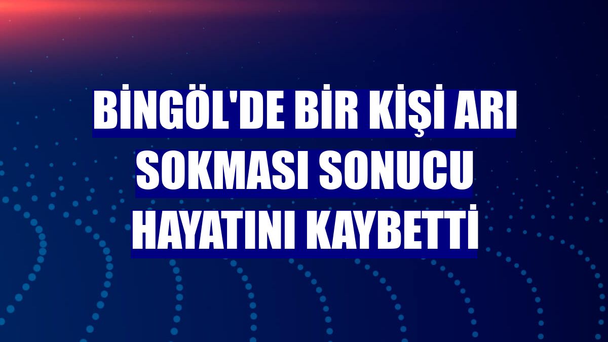 Bingöl'de bir kişi arı sokması sonucu hayatını kaybetti