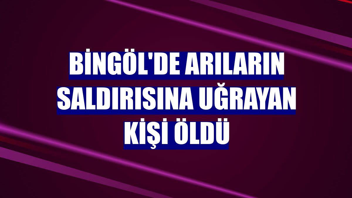 Bingöl'de arıların saldırısına uğrayan kişi öldü