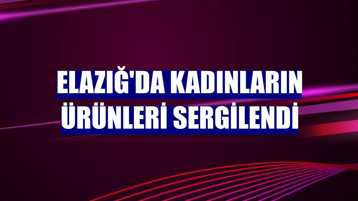 Elazığ'da kadınların ürünleri sergilendi