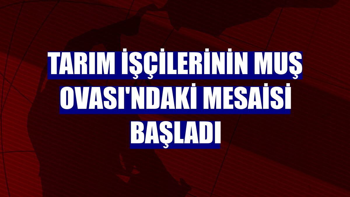 Tarım işçilerinin Muş Ovası'ndaki mesaisi başladı