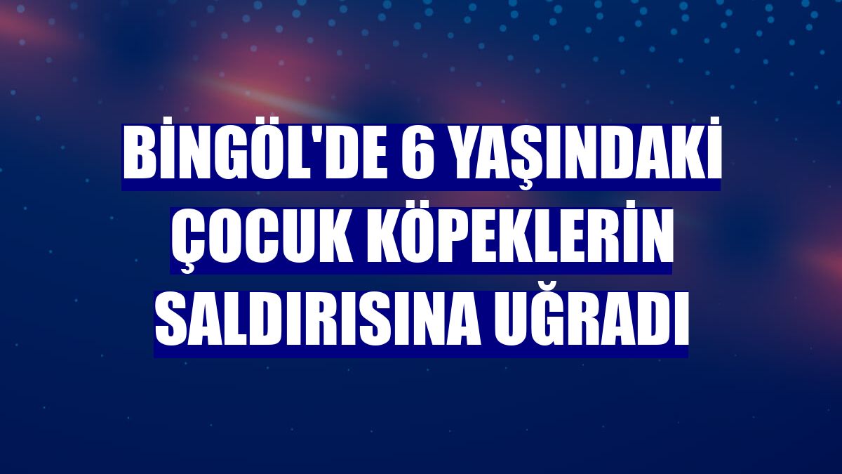 Bingöl'de 6 yaşındaki çocuk köpeklerin saldırısına uğradı